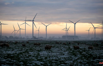 "A significant increase": Habeck sees wind power expansion gaining momentum