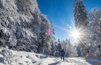 Bavaria: There will be no white Christmas this year
