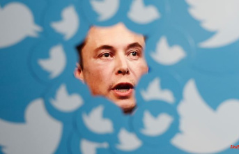 Twitter chief – yes or no?: Musk has his resignation voted on