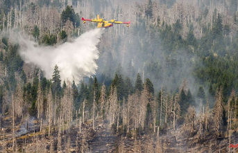 Saxony-Anhalt: Harz district is looking for a fire-fighting aircraft for the 2023 forest fire season