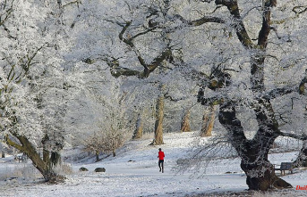 Even in winter: outdoor workouts "counteract depression"