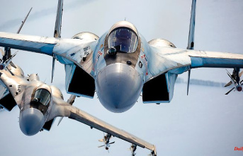 Weapons aid for Tehran: Moscow probably wants to deliver fighter jets to Iran