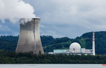 Baden-Württemberg: FDP discusses continued operation of nuclear power plants