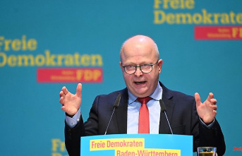 Baden-Württemberg: traffic lights in the southwest? FDP calls on the Greens to break with the CDU