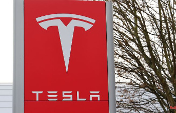 Wanted to help Musk: Fan files patent for Tesla