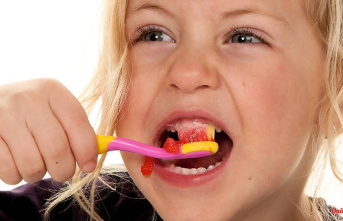 Öko-Test cleans: With children's toothpaste it is "insufficient" five times