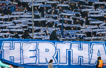 Hertha needs a new sports director: Bobic's successor is said to have already been determined