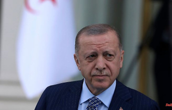 Telephone call with Moscow: Erdogan calls on Putin to "unilateral ceasefire".