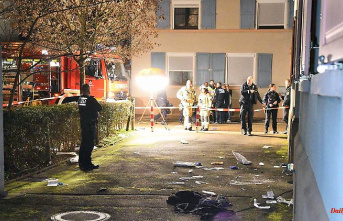 Baden-Württemberg: shot from the police service weapon: one injured