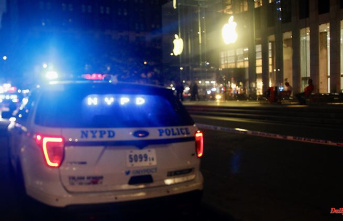 Numbers are increasing: more than three deaths a day in police operations in the United States
