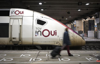 Interior Minister is "shocked": Paris train splits domestic cat in half