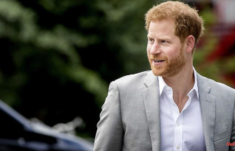 Coke, sex and his penis: Prince Harry also writes about this
