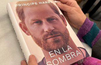 Sex, violence and royal betrayal: Prince Harry's memoir: what has already been revealed