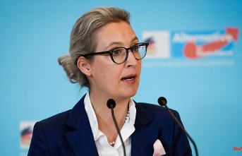 Ten years of right-wing party: Weidel sees AfD before jumping into state government