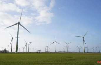 Partial environmental assessment omitted: Cabinet ignites turbo for wind power expansion
