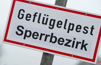 Baden-Württemberg: Avian influenza breaks out in the district of Tübingen