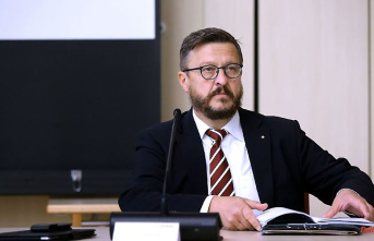Saxony-Anhalt: CDU politician Gürth criticizes AfD for acting in parliament