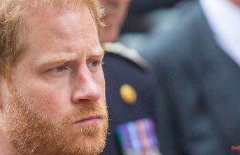 "Speep as much poison as possible": British press mauls Prince Harry