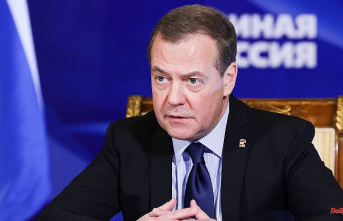 "Pigs have no faith": Medvedev insults Baerbock and Kyiv