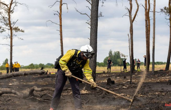 Saxony: Dead wood did not act as an accelerator in forest fires