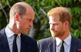 "Worse than expected": Prince Harry takes on William