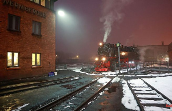 Saxony-Anhalt: Harz narrow-gauge railways get a new managing director