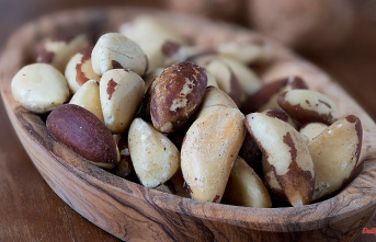 Öko-Test nibbles: All Brazil nuts are radioactive