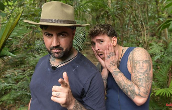 RTL reveals jungle camp numbers: This is how the TV audience voted