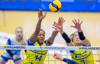 Mecklenburg-Western Pomerania: SSC coach after victory: "Had to pull out all the stops"