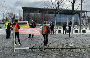District office: 10,000 euros damage: "Last generation" fells a tree in front of the chancellery