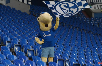 Competitive from now on: The shortest season Schalke 04 has ever had