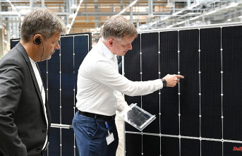 Solar industry is sounding the alarm: The German energy transition is in China's hands