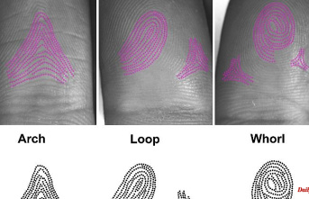 Unmistakable patterns: This is how fingerprints become unique