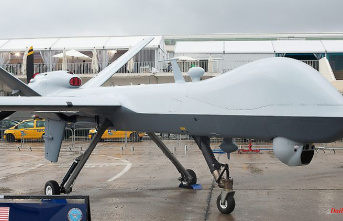 "Reaper" for a dollar: US company offers drones at a bargain price