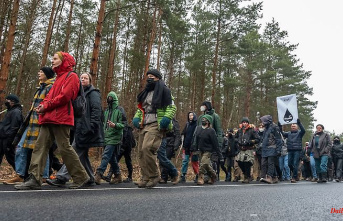 Saxony: Clearing of the Heidebogen forest is imminent
