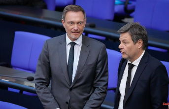 Dispute over budget policy: FDP calls for the Greens to give in