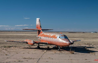 40 years of desert past: Elvis Presley's private jet auctioned off