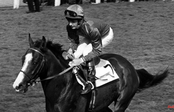 The case of Shergar and the IRA: "miracle horse" kidnapping in Ireland remains mysterious