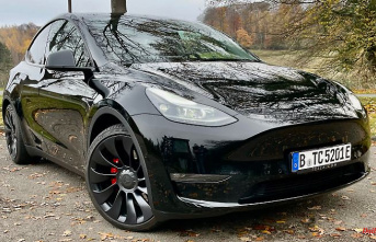 Rightly so successful?: Tesla Model Y Performance - somehow unique