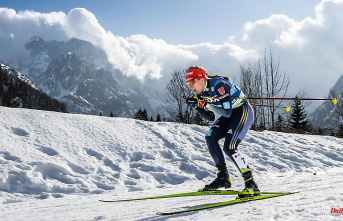 "Shines like a medal": Strong cross-country skiers ensure World Cup euphoria