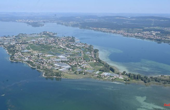 Baden-Württemberg: research divers discover a row of piles off the island of Reichenau