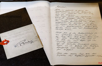 "Expression of Holocaust denial": NDR publishes fake Hitler diaries