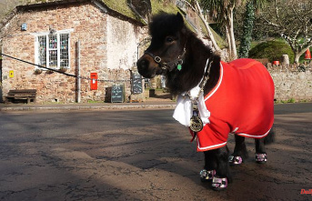 Fluffy Mayor: How a Pony Rules an English Village