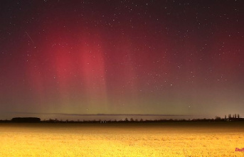 Rare natural spectacle: Germany marvels at the northern lights