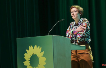 "Unacceptable misconduct": Brandenburg Greens urge chairman to resign