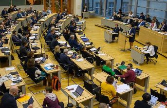 Saxony-Anhalt: Coalition wants to change procedures for data protection elections