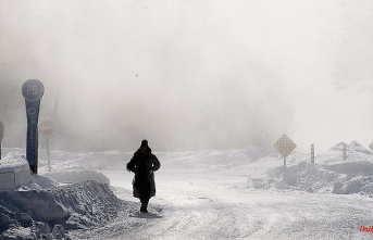Extreme cold and tremors: Winter storm sweeps across the US and Canada
