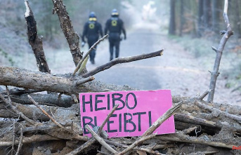 Saxony: Clearing of the Heidebogen forest has begun
