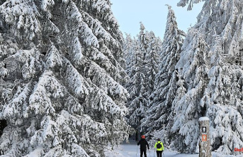 Thuringia: Thuringian Forest: Many cross-country trails can only be used to a limited extent