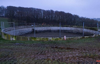 North Rhine-Westphalia: Less manure ended up in the lake than expected